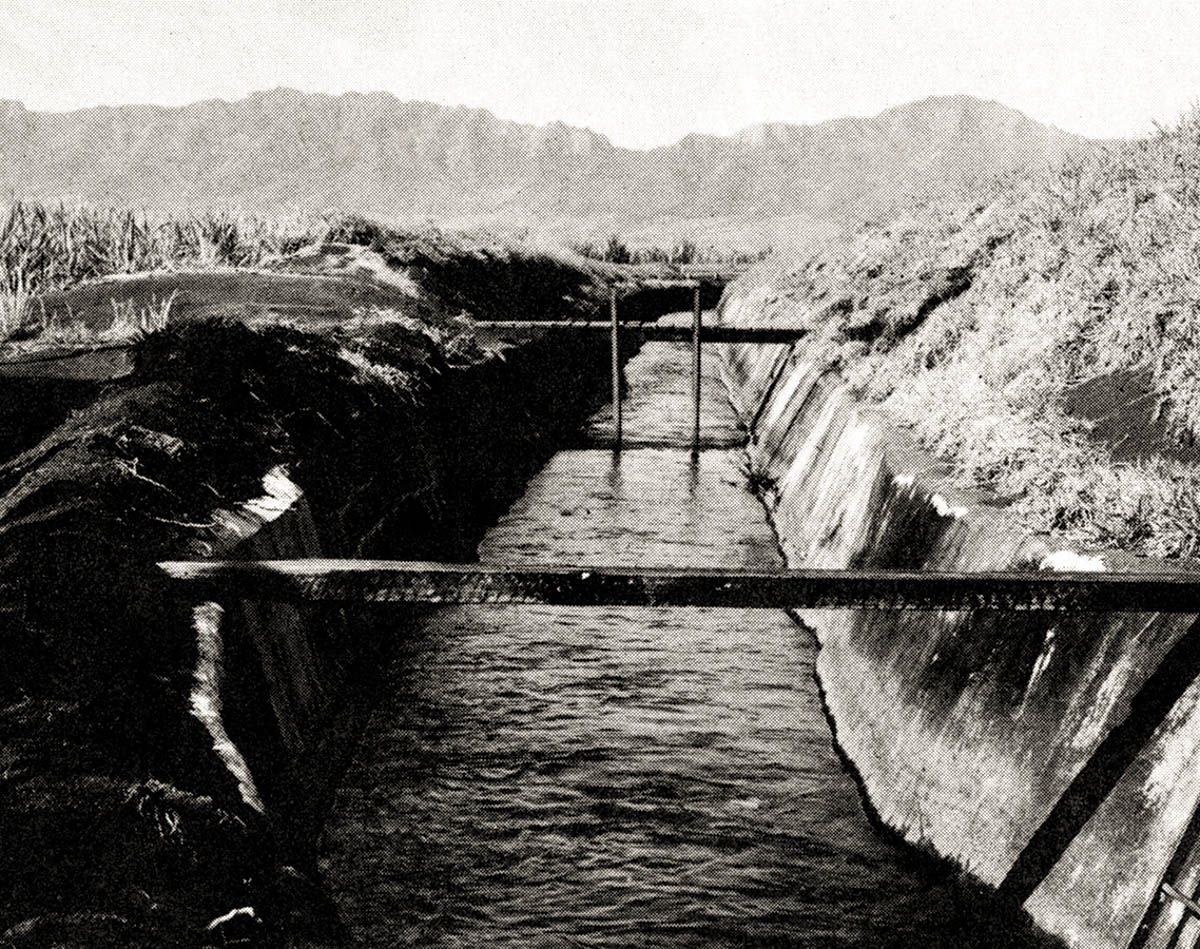 historical photo of sugar irrigation