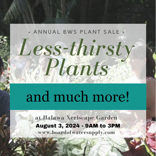 2024-Plant-Sale-Less-Thirsty-2.png